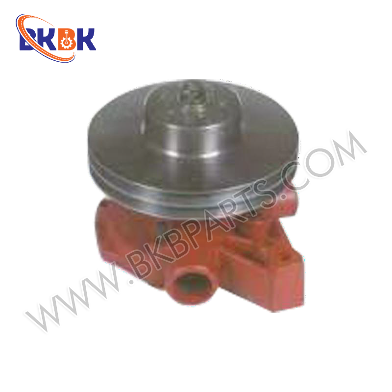 65.065006080S